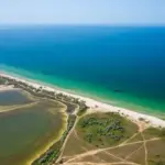 Птахи над акваторією Чорноморського біосферного заповідника, який святкує 99 років попри окупацію