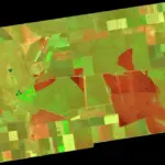 Вигорілий степ заповідника Асканія-Нова на Херсонщині, чорна обвуглена земля після масштабної пожежі