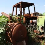 Фермер Володимир Коваленко на своєму відновленому господарстві на Херсонщині, демонструє кавуни.