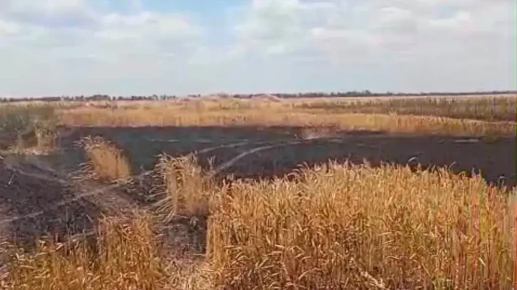 Фермери Херсонщини втратили 130 мільйонів гривень через підпали полів дронами РФ