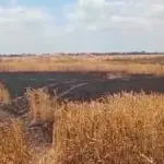 Дим від пожежі над полем на Херсонщині, яку спричинили російські дрони