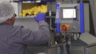 Картопля, почищена рубінчиком, на підприємстві "Аделаїда" на Житомирщині 8