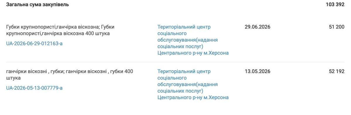 Пачка господарських губок та гроші на тлі документа із системою Prozorro 1