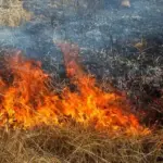 Сильне задимлення у Херсоні через пожежі від російських обстрілів