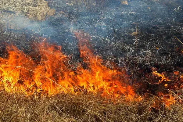 Херсонці, обережно дим від російських обстрілів у передмісті