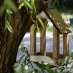 Символічне зображення нового житла або ключа, що передається у руки, на фоні карти України