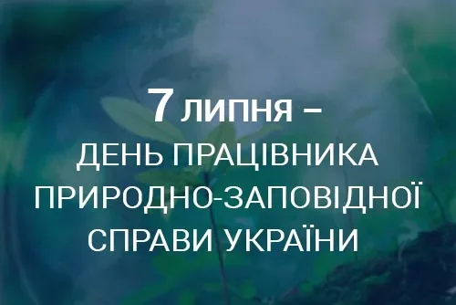 На Херсонщині створили п’ять нових заповідних об’єктів площею понад 295 гектарів