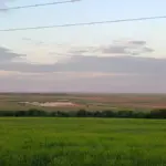 Науковець Олексій Василюк показує комах, що заселяють ліс на дні колишнього Каховського водосховища