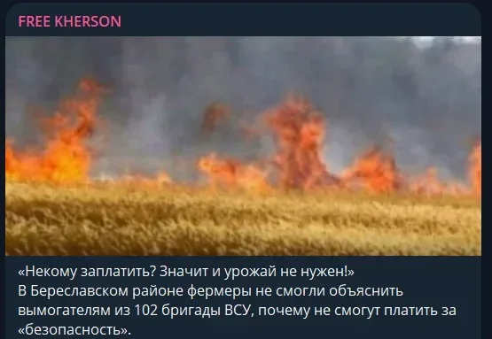 Окупанти на Херсонщині звинувачують ЗСУ в самообстрілах та підпалах полів: аналіз російських фейків