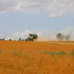 Окупанти контролюють збір врожаю на Херсонщині, створюючи штаби для регулювання сільськогосподарської діяльності