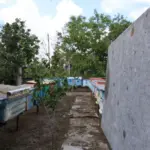 Пасічниця Віта Камчатна в захисному костюмі тримає рамку з бджолами на пасіці