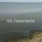 Пляжі Генічеська, вкриті гниючими водоростями та медузами