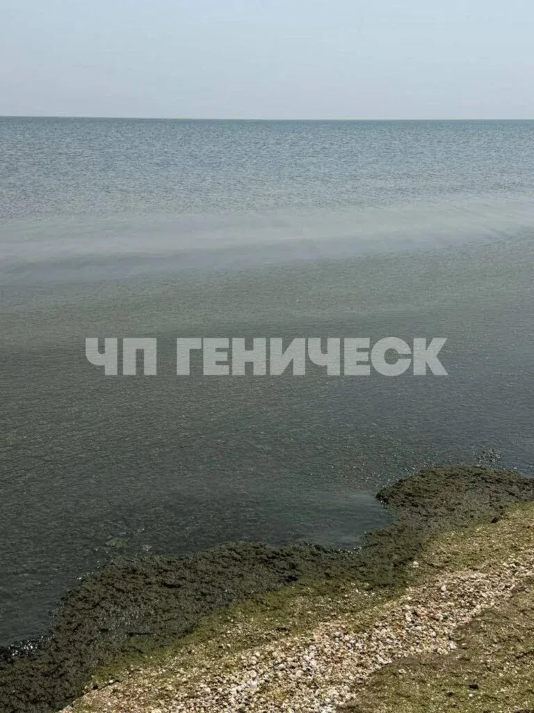 Пляжі Генічеська стали місивом з медуз і гниючих водоростей