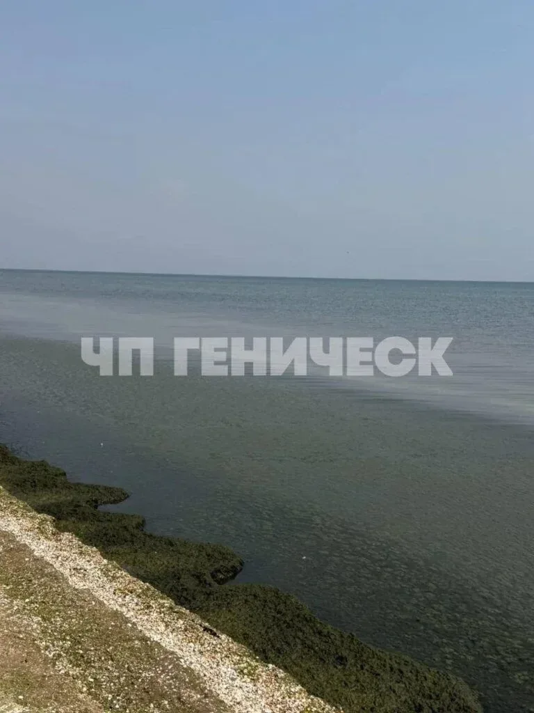 Пляжі Генічеська, вкриті гниючими водоростями та медузами 1