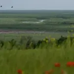 Символ ЮНЕСКО на тлі ландшафту Великого Лугу, що символізує підтримку природоохоронної ініціативи.
