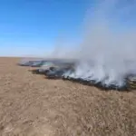 Супутникові знімки показують вигорілі землі в Асканії-Нова на Херсонщині.