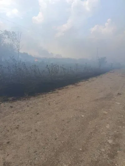 Поле згорілих зернових культур на Херсонщині, дим після пожежі, на задньому плані техніка 1