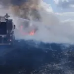 Знищені російськими обстрілами поля з посівами у Бериславському районі Херсонської області