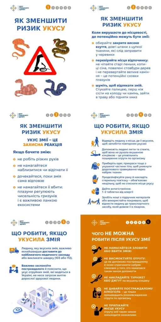 Що робити херсонцям, якщо вкусила отруйна змія