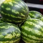 Свіжі кавуни на прилавку ринку в Херсоні, соковиті та стиглі