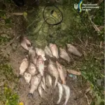 Інспектори рибоохоронного патруля затримують браконьєрів із незаконним уловом риби на Херсонщині.