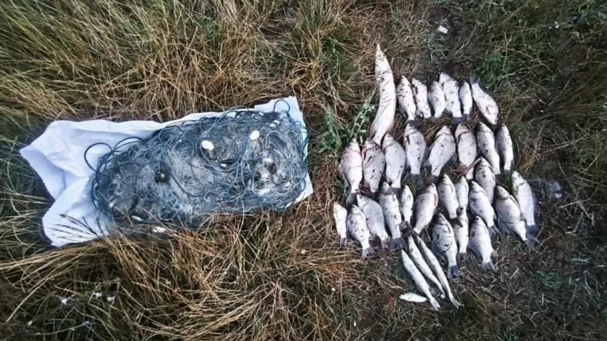 Інспектори рибоохоронного патруля затримують браконьєрів із незаконним уловом риби на Херсонщині. 3