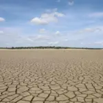 Зграя диких пеліканів на території колишнього Каховського водосховища, що відроджується після руйнування ГЕС.