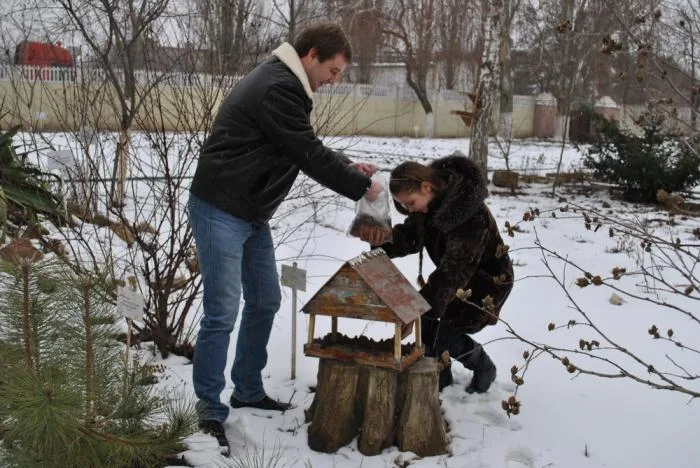 В Херсоне проходит ежегодная акция «Поможем зимующим птицам»