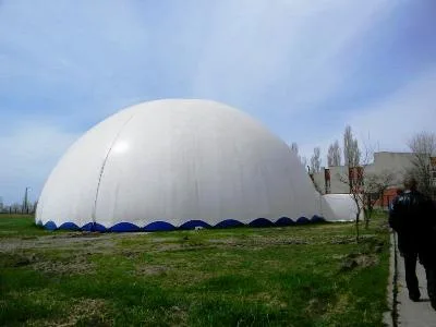 В Скадовске «засекретили» дельфинов