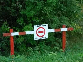 В Херсонской области ограничено посещение леса