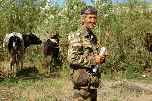 Служебная халатность лесников Корсунского лесничества привела к убыткам в 20 млн грн
