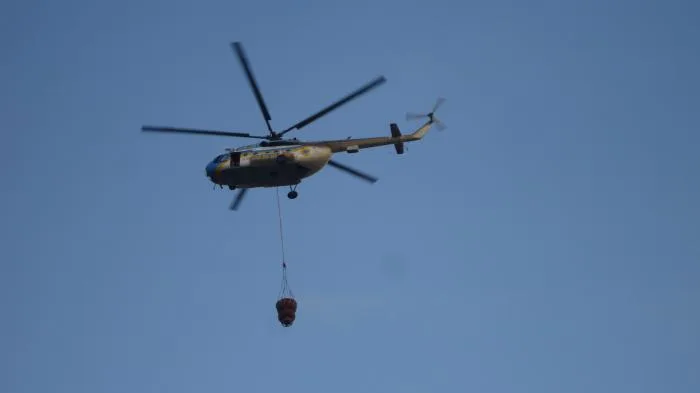 В Херсонской области уже горит почти 1 тыс. га леса