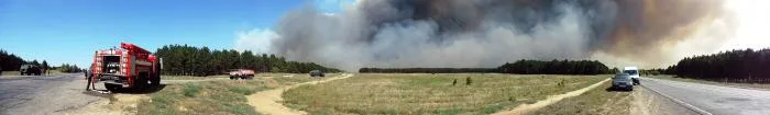 В Херсонской области уже горит почти 1 тыс. га леса