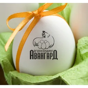 “Авангард” незаконно “умыкнул” из госбюджета 90 млн. грн.