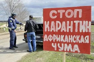 На Херсонщине готовятся бороться с эпидемией африканской чумы свиней