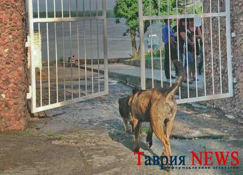 Вадим Титушко уже в Херсоне