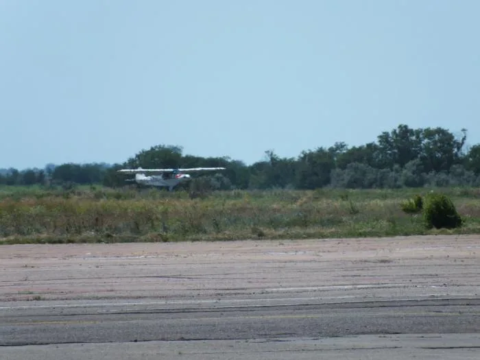 Сегодня 2 тыс. херсонцев пришли посмотреть на ретро-самолеты аэроклуба Air Squadron
