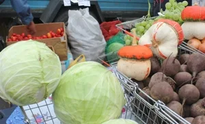 Херсонцам на ярмарках продуктов не хватило, решили повторить