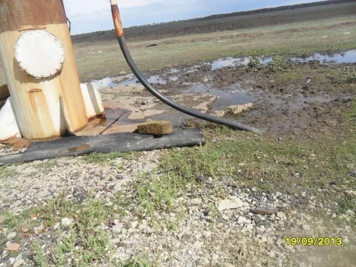 В Привольном питьевая вода подается с… червями и мертвыми птицами