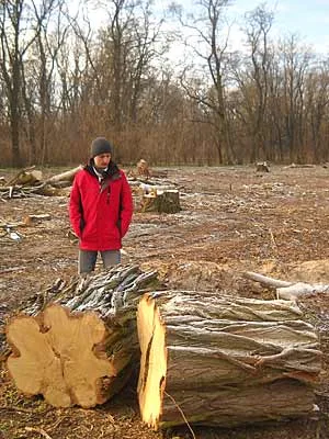 В Новой Каховке поддержали запрет на выруб леса