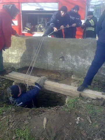 Херсонские пожарные спасли жизнь еще одной кошке