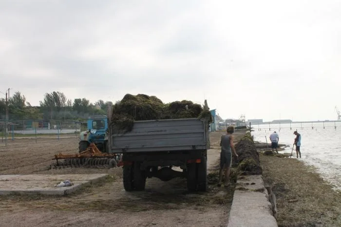 В Скадовске уже почти все готово к началу куротного сезона