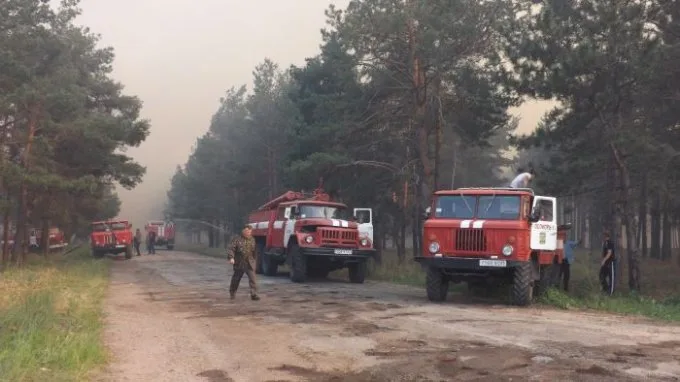 Возле Нечаево горит до 100 га леса