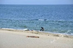 Спасатели призывают к максимальной осторожности на воде