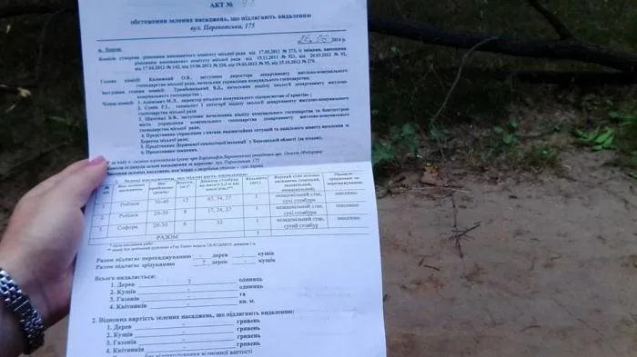 В сквере на Залаэгерсег под строительство церкви рубят деревья