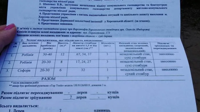 В сквере на Залаэгерсег под строительство церкви рубят деревья