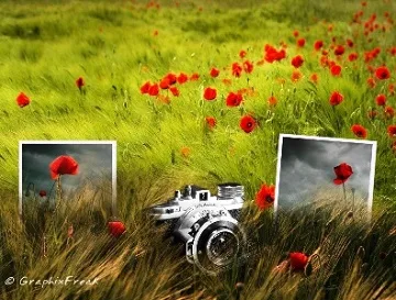 Завтра в Херсоне презентуют туристическую фотовыставку