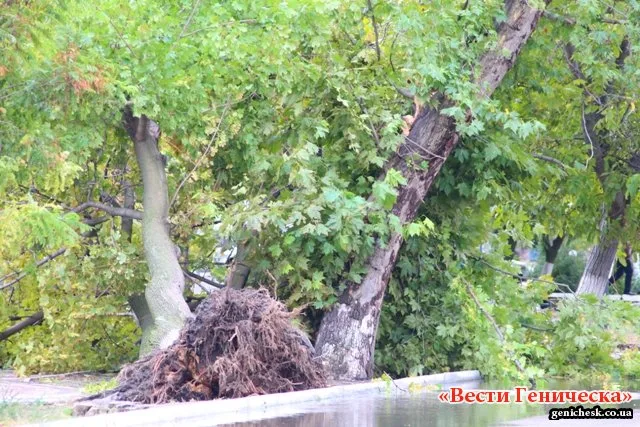 В Геническе ликвидируют последствия вчерашней бури