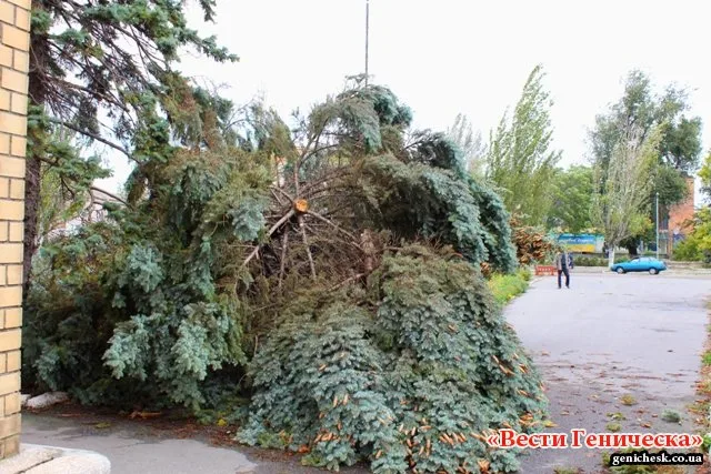 В Геническе ликвидируют последствия вчерашней бури