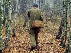 Пропавшие возле Раденского авиаполигона грибники выбрались из леса сами